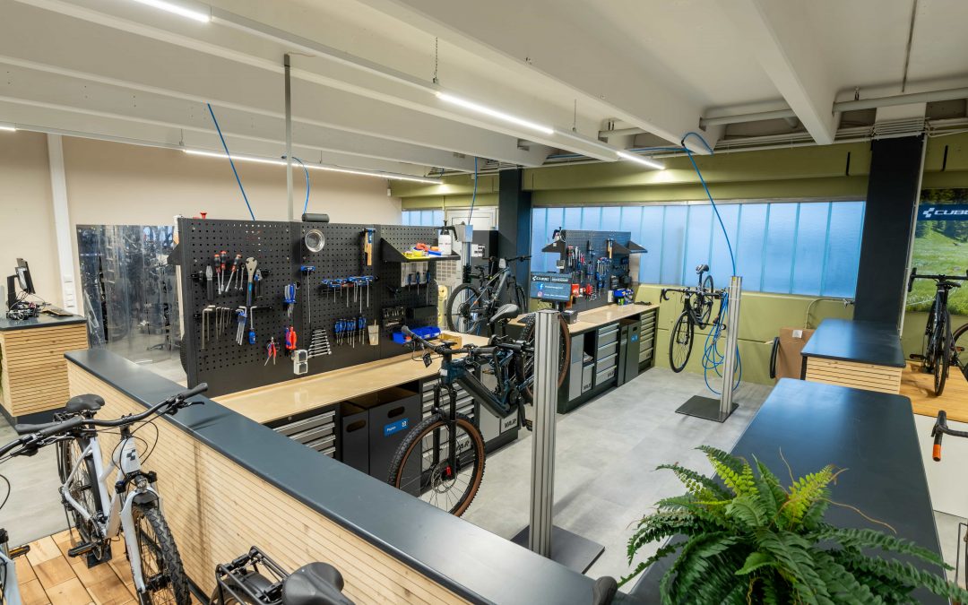 Eine moderne Fahrradwerkstatt in Deggendorf mit CUBE-Fahrrädern in Wartung, Werkbänken, Werkzeugen auf Stecktafeln und Pflanzen, die dem sauberen, organisierten Raum Grün verleihen.